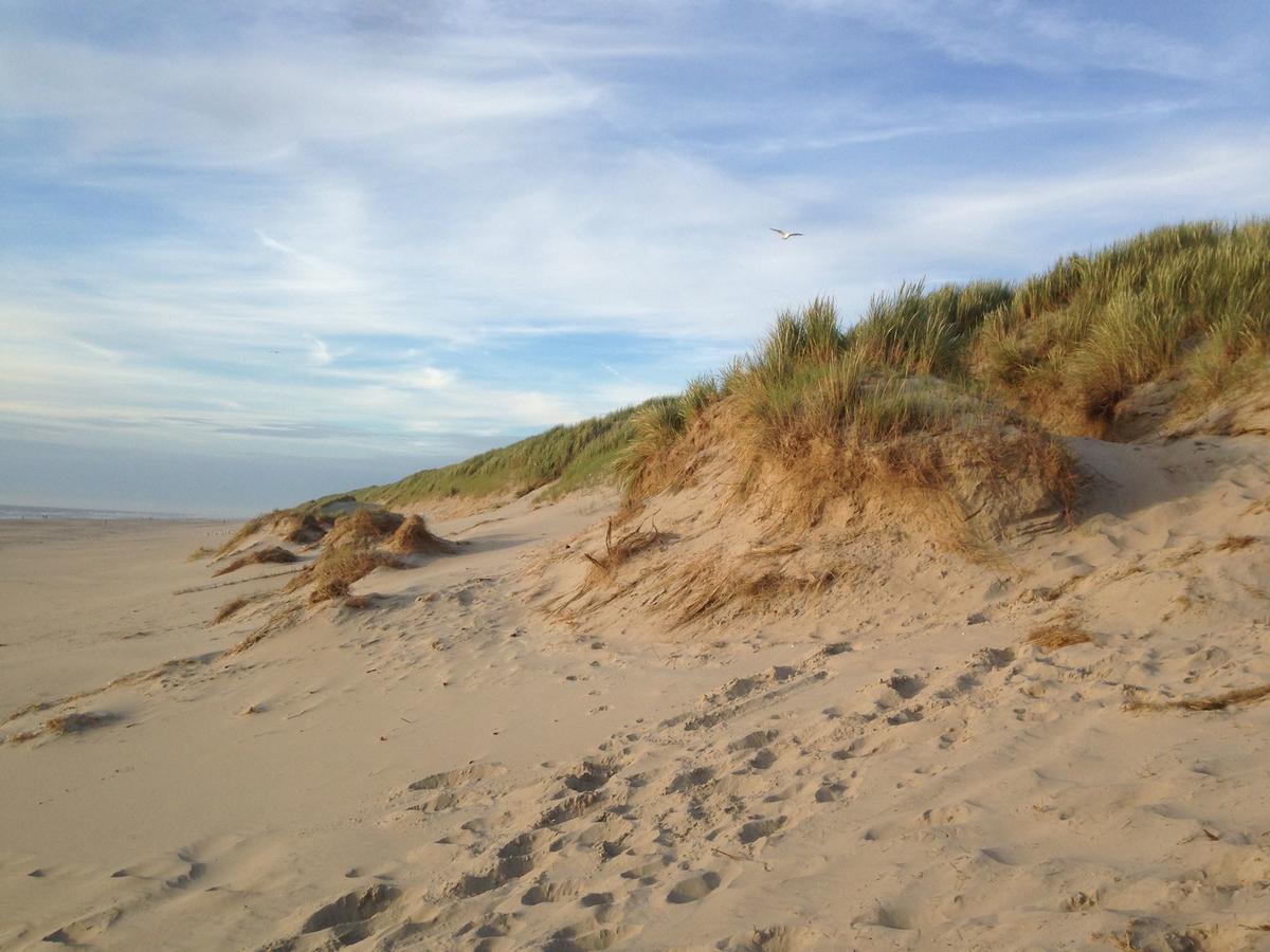 Beachhouses Texel 데쿠크 외부 사진